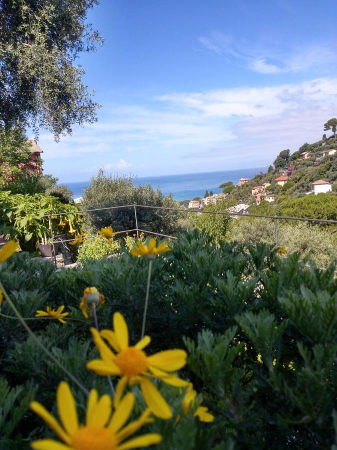 Villino Brunetto Azienda Agrituristica Camogli Zewnętrze zdjęcie