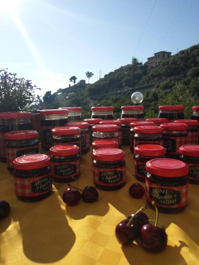 Villino Brunetto Azienda Agrituristica Camogli Zewnętrze zdjęcie