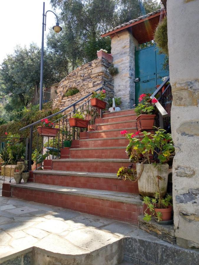 Villino Brunetto Azienda Agrituristica Camogli Zewnętrze zdjęcie