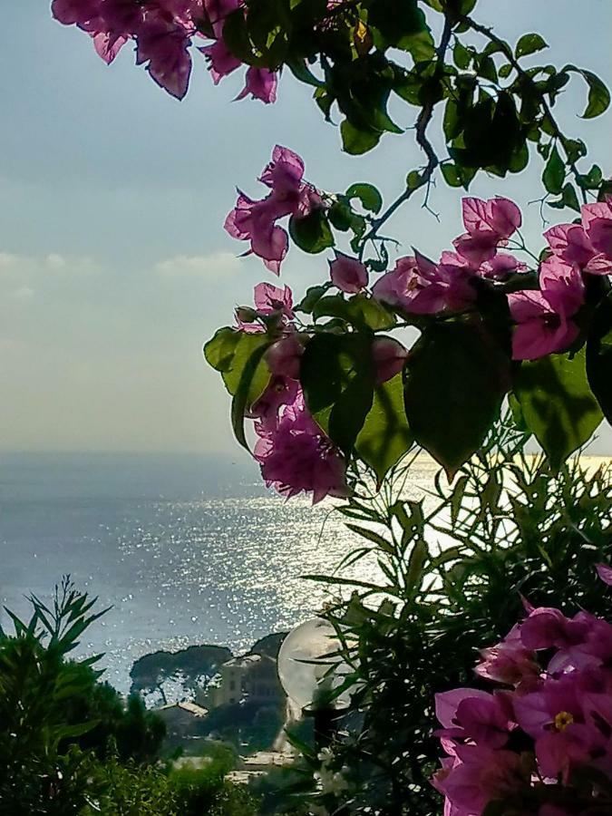 Villino Brunetto Azienda Agrituristica Camogli Zewnętrze zdjęcie